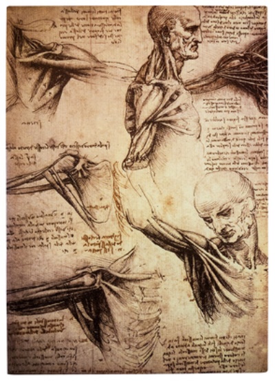 münster tattoo Anatomie