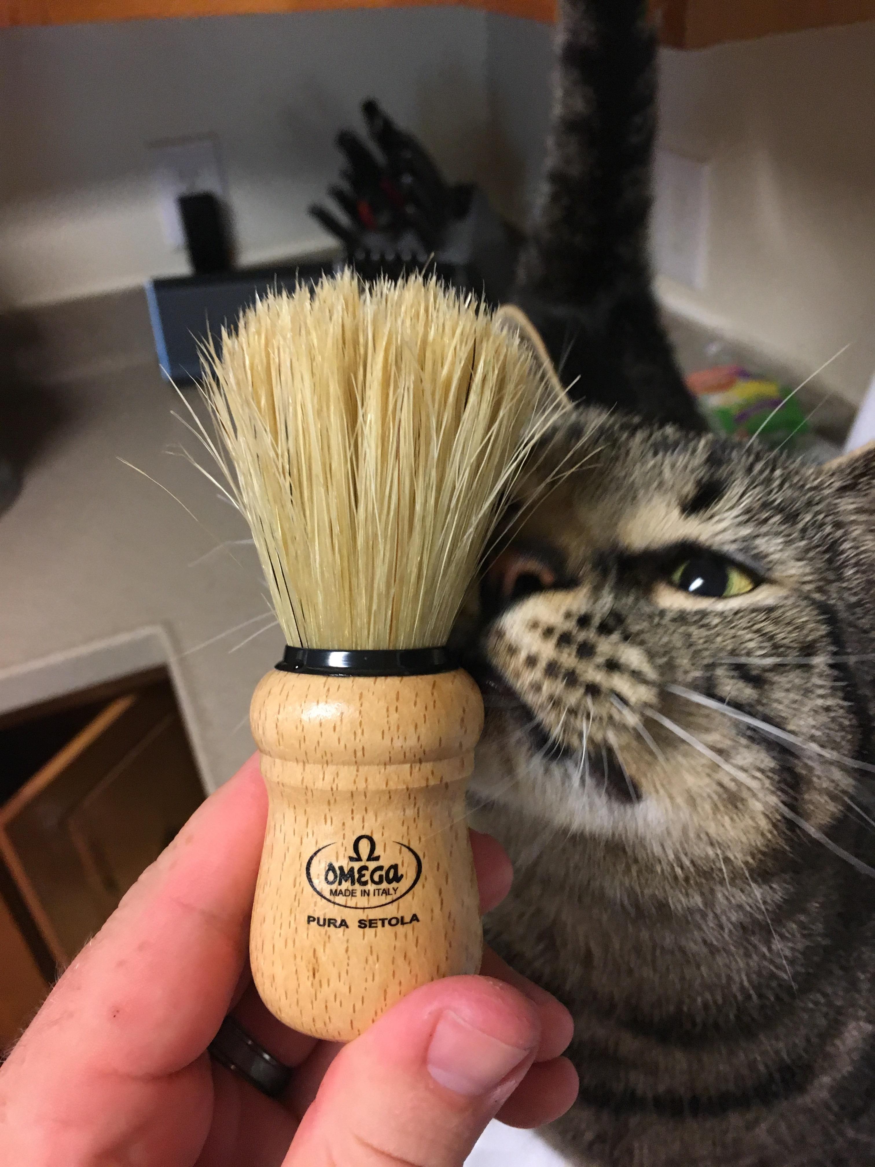in pussy Brush