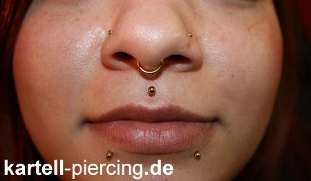 Kartell tattoo piercing