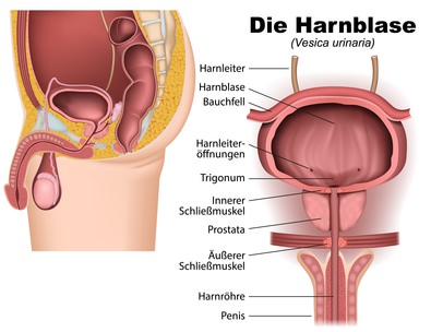 anleitung Prostata massage