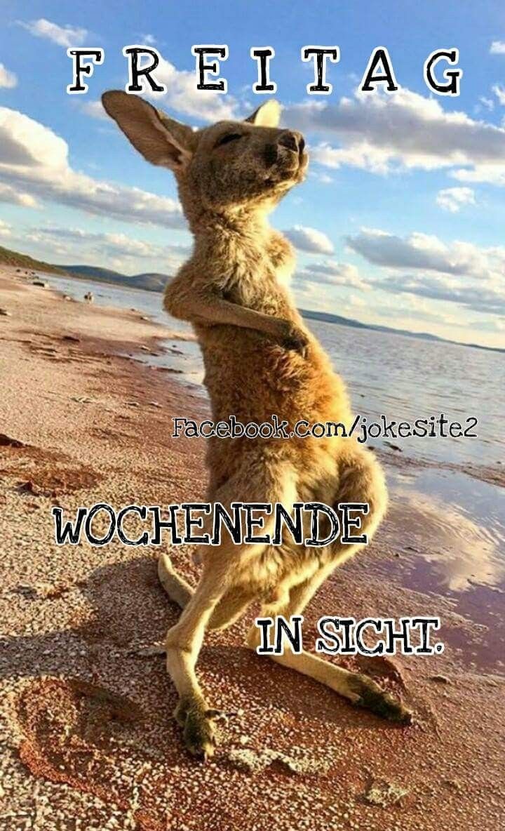 bilder Freitag endlich wochenende