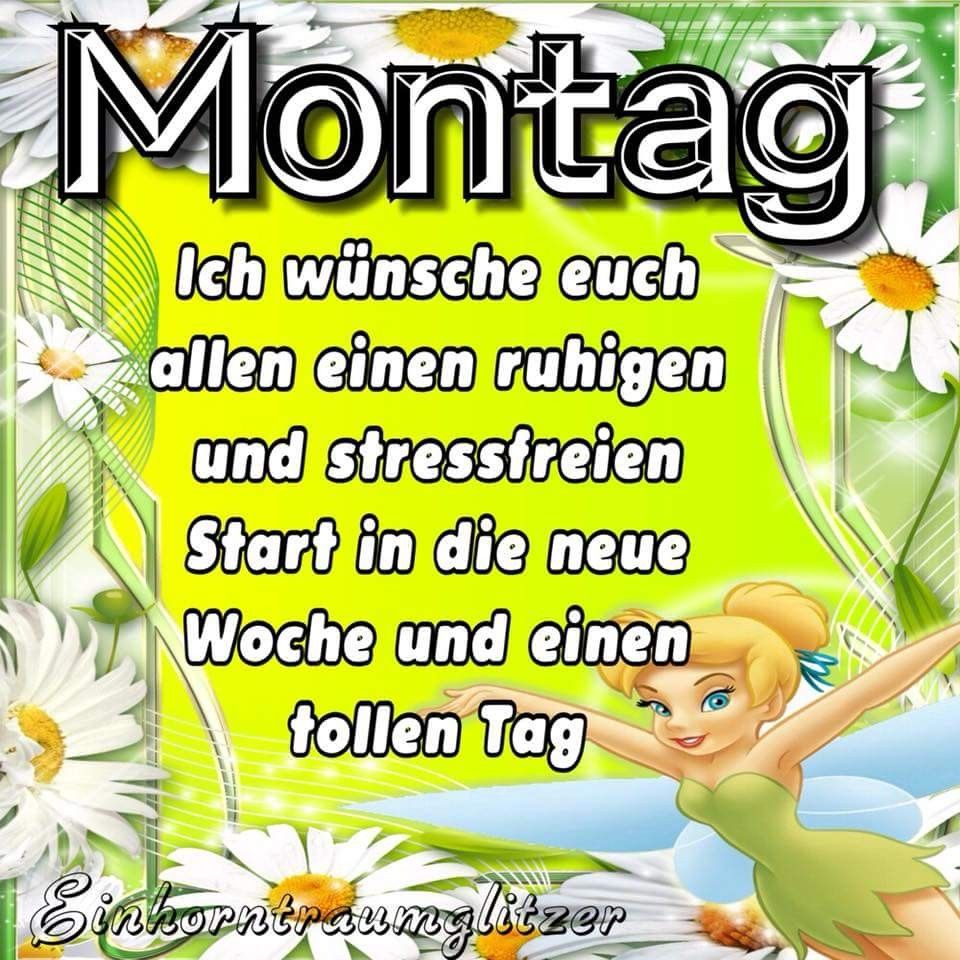 bilder Schönen montag